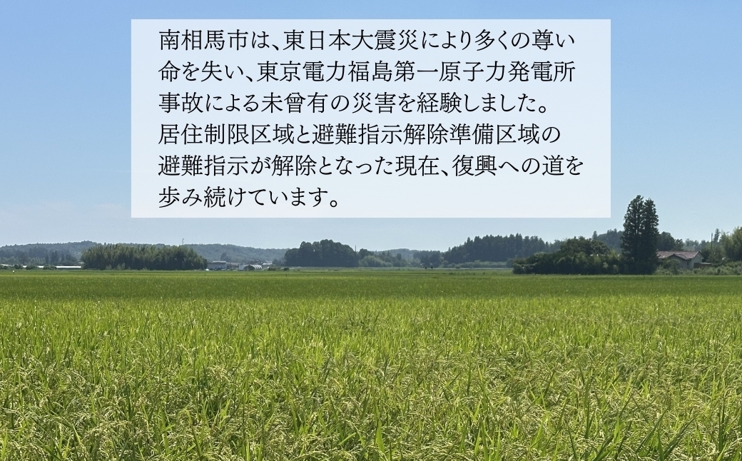 iriser（イリゼ）アンフィニ イヤリング