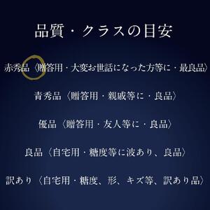 [HS]【定期便 全2回】ぶどう 2026年 先行予約 9月・10月発送 最高級品シャイン マスカット 晴王 2房 〈合計約1.4kg〉 ブドウ 葡萄  岡山県産船穂産 フルーツ 果物 ギフト