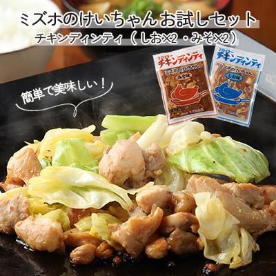 ふるさと納税 下呂市 ミズホのケイちゃんお試しセット チキンディンティ(しお×2 みそ×2)【21-3】
