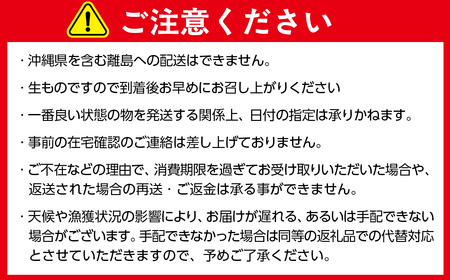 北海道室蘭産 天然活蝦夷あわび 2個入（1個100g～120g前後）（2026年1月中旬頃お届け） MROH009 | あわび