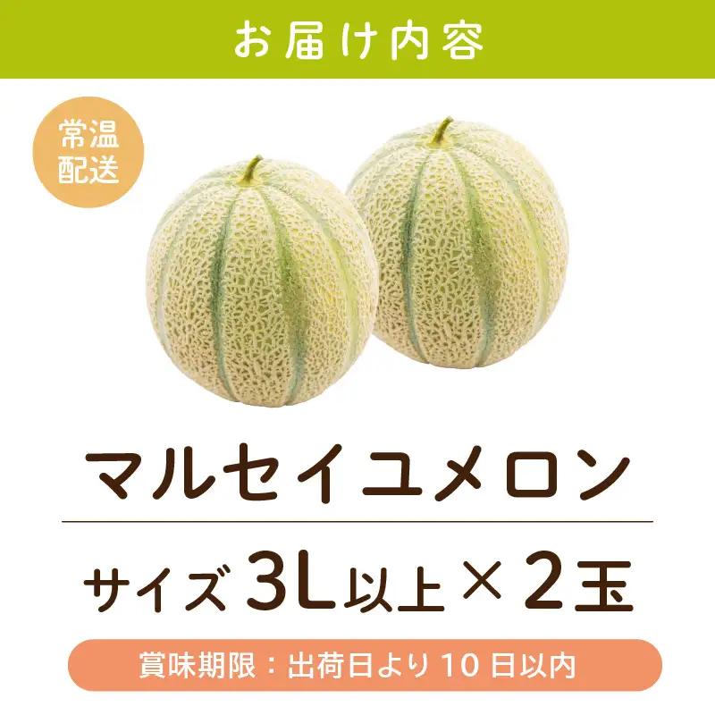 メロン マルセイユメロン 3Lサイズ以上 × 2玉 フルーツ [A-16518]