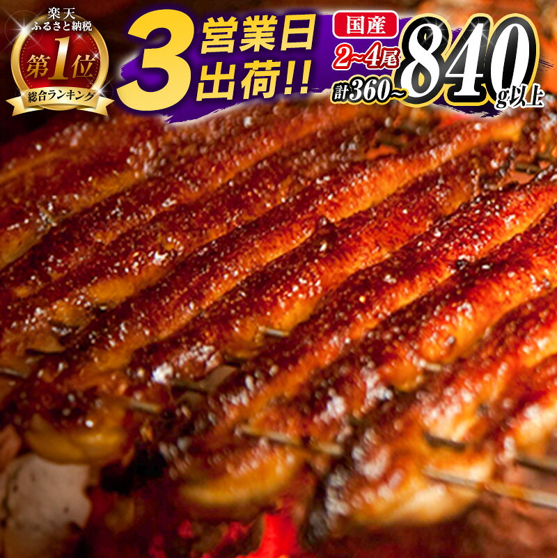 新富町産うなぎ蒲焼4尾 合計760g以上