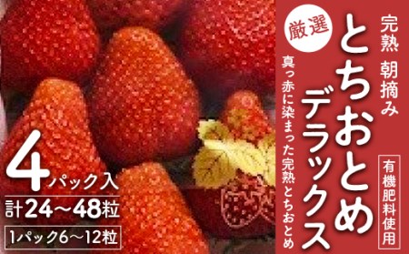 【11月中旬より発送】鈴木ファームの★厳選★完熟★朝摘み★とちおとめデラックス　4パック入り【配送不可地域：離島・北海道・沖縄県・九州】【1259138】