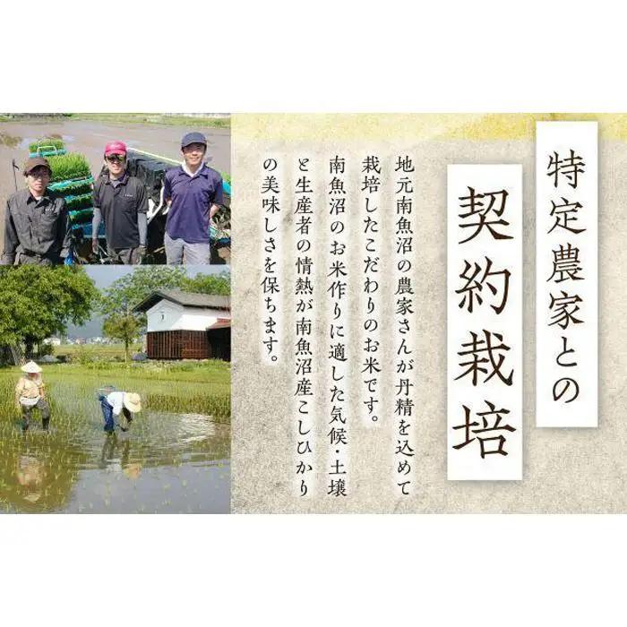 【定期便６回】（毎月下旬お届け）雪蔵氷温米 南魚沼産こしひかり５ｋｇ【高島屋選定品】｜こしひかり