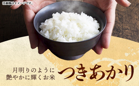 【先行受付】 令和7年産 つきあかり（無洗米）幸手産 - 5kg×1袋 ５kg 先行 予約 新米 新米予約 先行予約 2025年発送 福祉 応援 安心 安全 埼玉県 幸手市 幸手市産