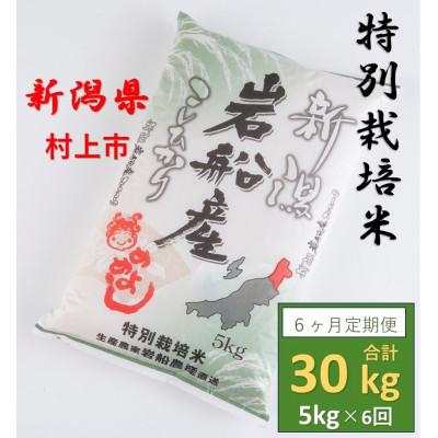 ふるさと納税 村上市 【毎月定期便】特別栽培米 岩船米コシヒカリ 精米 5kg 008全6回
