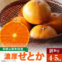 【ふるさと納税】【限定】 柑橘の王様 和歌山有田の濃厚せとか 【訳あり 家庭用】 4～5kg【ミカン 蜜柑 春みかん 柑橘】