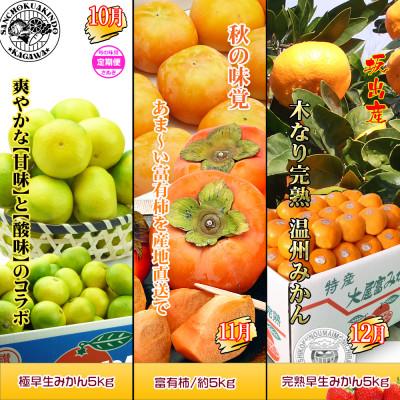 ふるさと納税 坂出市 【発送月固定定期便】創業100年坂出産のフルーツとさぬきの特産品の定期便【Bコース12回】全12回 |  | 03