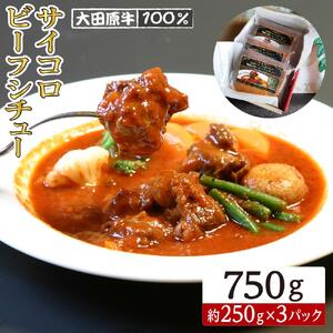 大田原牛 100％ サイコロビーフシチュー 3パックセット | レトルト シチュー 和牛 牛肉 ビーフ 高級