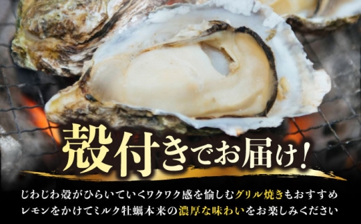 【12月3日(木) 発送】ミルク牡蠣 殻付き10個入り 広島県江田島市／株式会社丸杉水産 [XCY001-015]