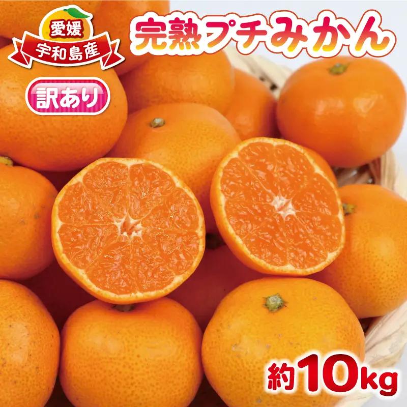 訳あり 完熟 プチ みかん 早生みかん 10kg 杉本屋 B018-143018