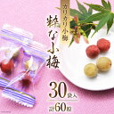 【ふるさと納税】【やばいだろ】粋な小梅 2粒×30 計60粒 [山梨農産食品 山梨県 韮崎市 20742100] 梅干し 梅干 うめぼし 梅 小粒 小梅 カリカリ梅 国産 個包装