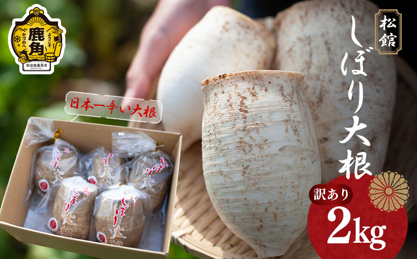 
            【訳あり】秋田県鹿角市八幡平産 松館しぼり大根 2kg（ 5～6個 ）【TR farm】 ●2024年11月上旬発送開始 薬味大根 GI 地理的表示登録 薬味 大根 ダイコン 野菜 地大根 伝統野菜 日本一 辛い 大根おろし ギフト お中元 お歳暮 ふるさと 返礼品 鹿角市 秋田 送料無料 
          