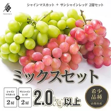 【2026年発送】 シャインマスカット 2房 ＆ サンシャインレッド 2房 (計2kg以上)【配送不可地域：離島・沖縄県】【1670110】