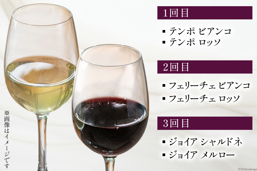 定期便 白 赤 ワイン 飲み比べ セット 各回 750ml × 2本 全3回 計 6本 [Poggio Verde（ポッジョ ヴェルデ） 長野県 池田町 48110709] わいん ワインセット 赤白