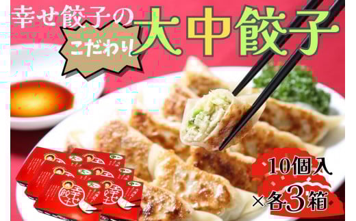 016-06-1幸せ餃子のボリューム満点こだわり大・中餃子（各3箱）/ 餃子 ギョウザ 手作り ジャンボ餃子  冷凍 食品 おかず 3箱 2サイズ  冷凍 食品 おかず  冷凍 食品 おかず 国産 国産野菜 高座豚 ぎょうざ  ギョーザ 餃子 冷凍餃子  焼き餃子 焼餃子 冷凍 冷凍食品 おかず 弁当 惣菜 おつまみ おやつ 時短  便利 焼くだけ お手軽 アレンジ 常備 食べ比べ