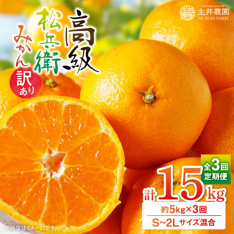 【ふるさと納税】松兵衛みかん ご家庭用 定期便 約 5kg × 3回 合計 15kg S ～ 2L 訳あり サイズ混合 発送月固定 こだわり コク 酸味 バランス 柑橘 みかん フルーツ 果物 果実 産地直送 お取り寄せ お取り寄せフルーツ 和歌山県 湯浅町 送料無料