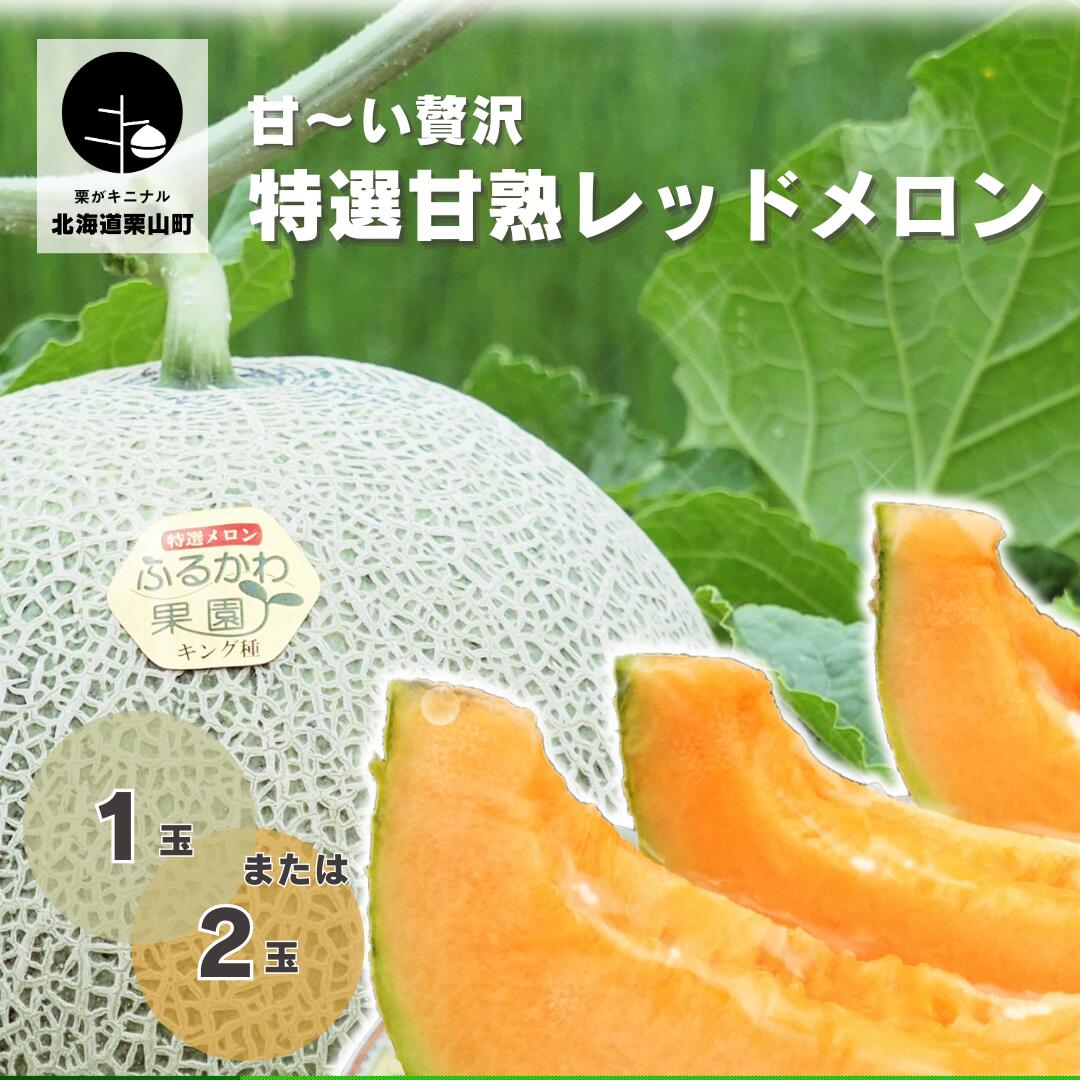 【ふるさと納税】とろける舌触り！甘〜い贅沢 北海道産「特選甘熟レッドメロン」《1玉・2玉》