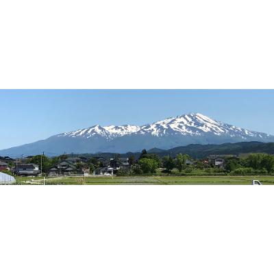 ふるさと納税 酒田市 ちっちゃな農家の大きな夢　やさしいお粥　発芽玄米入り玄米粥 |  | 02