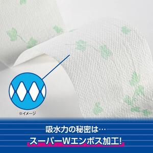 シャワートイレのためにつくった 吸水力が2倍のトイレットペーパー 12R× 6パック（ダブル） リーフ柄プリント　無香料