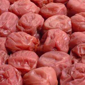 しそ梅干し500g【紀州南高梅】【つぶれ梅・やぶれ梅・家庭用・訳あり】【1468568】