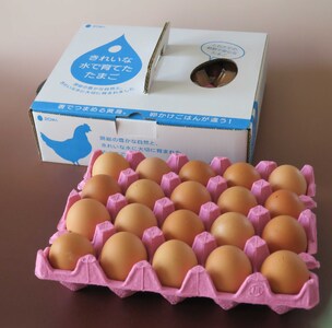 【6回定期便】2週間以内に発送 きれいな水で育てた卵 赤たまご 20個  | 早く届く すぐ すぐ発送 保坂農場 赤卵 赤玉 赤い卵 銘水 卵 たまご 定期便 6回 君津市産 千葉 君津 きみつ 房総