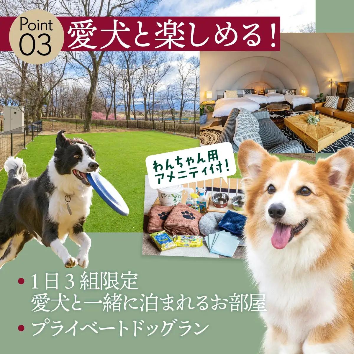 宿泊 グランピング AKAGI GLAMPING VILLAGE 宿泊補助 クーポン券 210,000円分| 宿泊