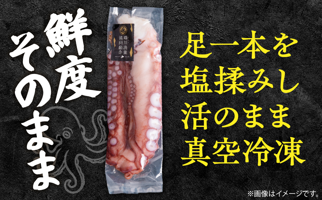 鵡川漁協発！活水生蛸足冷凍（約1kg） MKWV004