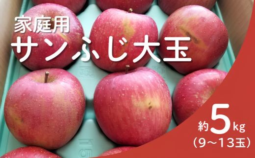 KR20 サンふじ 家庭用 大玉 約5kg（9～13玉） 長野県松川町産／11月下旬頃～配送予定//長野県 南信州 リンゴ 林檎 ふじ さんふじ 訳あり 自家用 農家直送 農家支援 産地直送