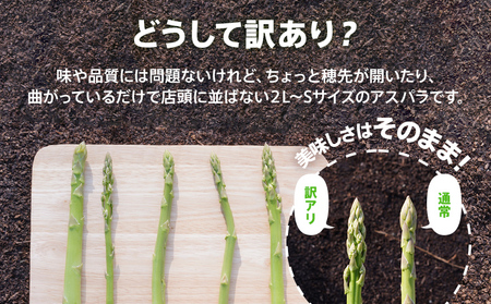 先行予約 訳あり 規格外 アスパラ 2L～Mサイズ 2kg 朝採り直送 夏芽グリーンアスパラガス 2L～Mサイズ 2kg 朝採れ アスパラ ふるさと納税 【出荷時期2024年6月～9月にお届け予定】B