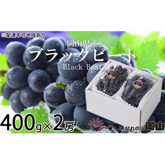 【ふるさと納税】ぶどう 2026年 ブラックビート 約400g×2房 ブドウ 葡萄 岡山県産 国産 フルーツ 果物 ギフト | フルーツ 果物 くだもの 食品 人気 おすすめ 送料無料