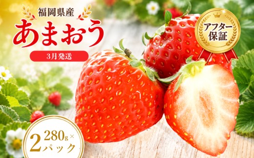 【2027年3月発送予定】先行予約! 数量限定 福岡産 あまおう ichigo strawberry itigo 約560g 約280×2パック セット いちご 苺 イチゴ フルーツ 果物 くだもの 春 旬 福岡 九州 福岡県 柳川市