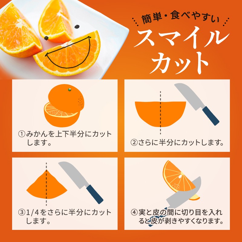 【2026年発送 先行予約品】