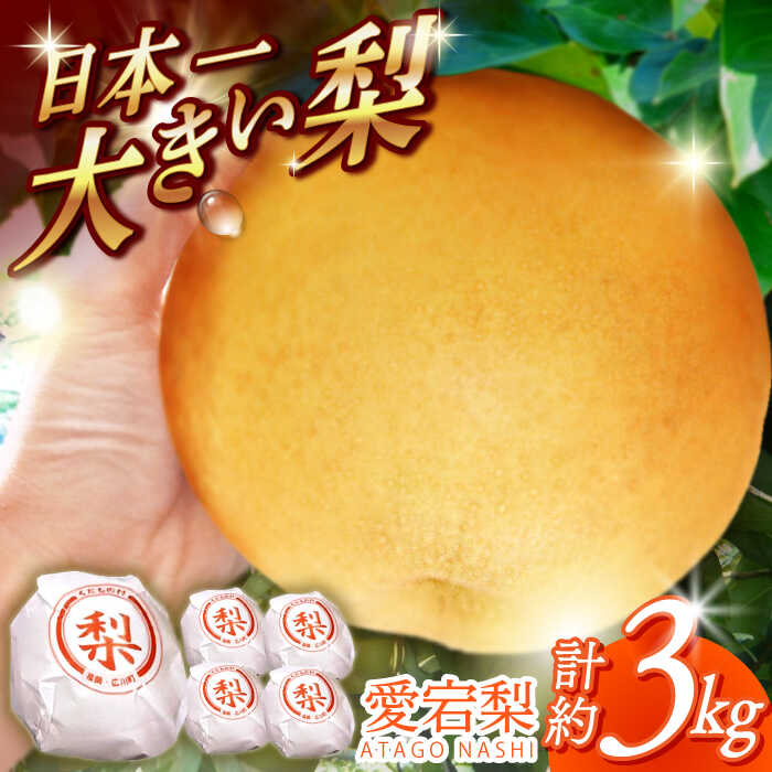【ふるさと納税】【12月上旬発送開始】愛宕 梨 約3kg (3玉〜5玉) フルーツ 果物 広川町 / 亀井通産（株）[AFAR025]