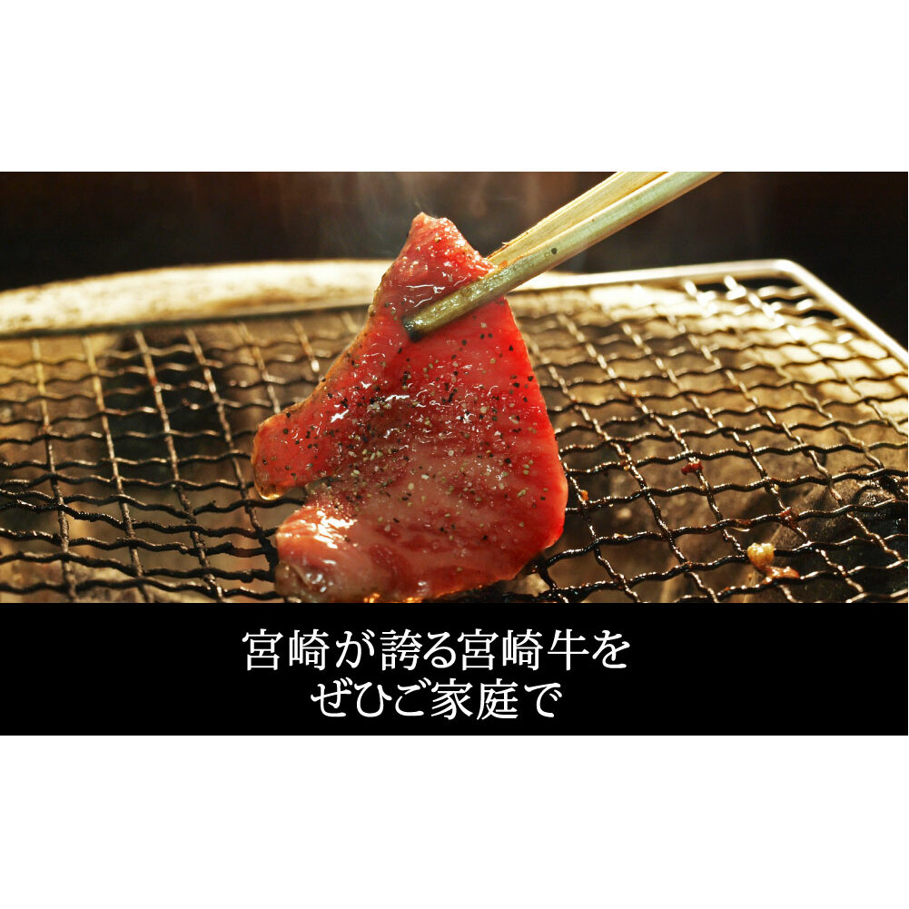 【宮崎牛】 三角 バラ 焼肉 600g [SHINGAKI 宮崎県 美郷町 31ag0070] 牛肉 BBQ バーベキュー トロ ばら 大トロ カルビ 真空 冷凍 内閣総理大臣賞受賞 宮崎県産 送料無