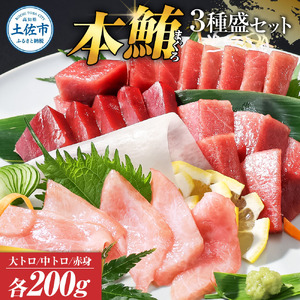 本マグロ 大 中トロ 赤身 200g セット | 土佐市 本マグロ BQAA039