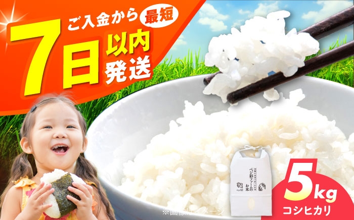 
            令和6年産 お米 5キロ コシヒカリ こしひかり 米 お米 白米 コメ おこめ 5kg 大阪府高槻市/ベジ彩ファーム [AOEJ012]
          