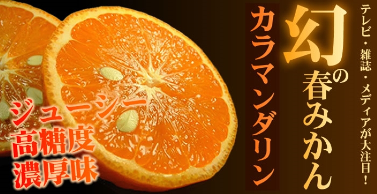 カラマンダリン 約5kg/サイズおまかせ　※2027年4月上旬〜2027年5月上旬頃に順次発送予定(お届け日指定不可)　紀伊国屋文左衛門本舗【sgtb470A】