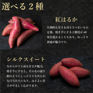【青果店厳選】 焼き芋 紅はるか 2kg