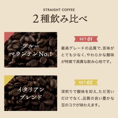 ふるさと納税 関市 カフェ・アダチ ドリップバッグコーヒー詰め合わせ ブルーマウンテン5個&イタリアンブレンド10個　 |  | 01