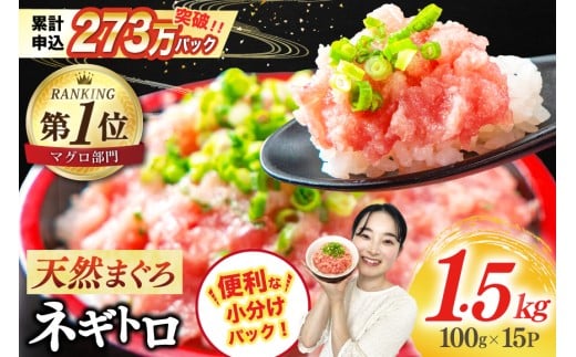 【4月発送】ネギトロ 15パック（計1.5kg）[静岡市 吉田町 22424262-4gatsu] レビューキャンペーン