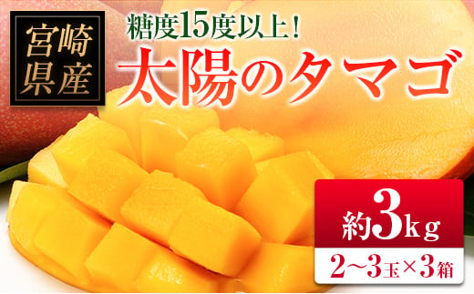 
□糖度15度以上！宮崎県産 「太陽のタマゴ」（合計約3kg）
