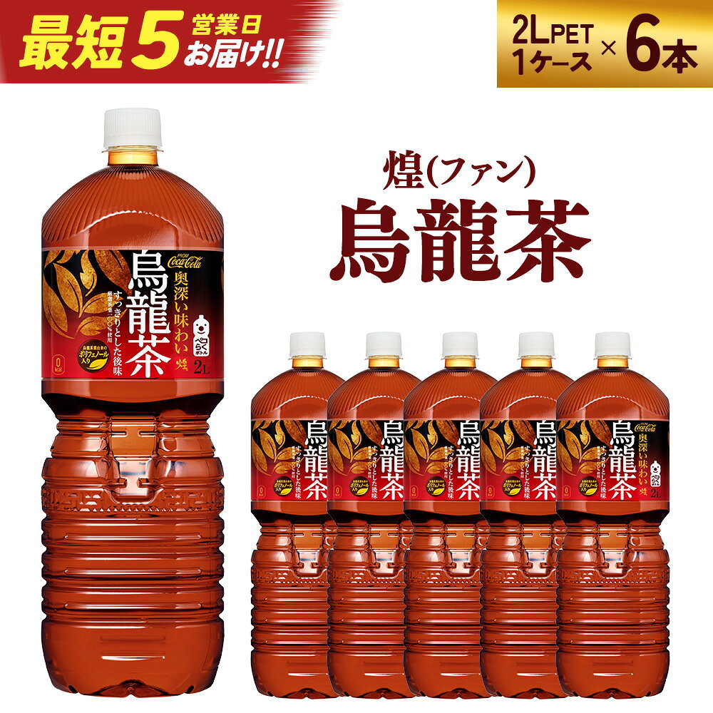 【ふるさと納税】煌 烏龍茶 2L PET×6本　【04301-0529】