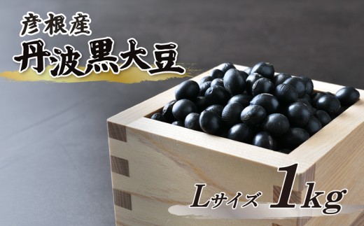 【予約受付】令和8年産 彦根産 丹波黒大豆 丹波黒 1kg Lサイズ 中粒 黒豆 くろまめ 丹波 黒大豆 正月 おせち 煮豆 黒豆煮 滋賀 彦根
