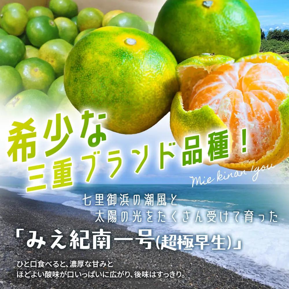 みかん 超極早生温州みかん みえ紀南一号 約3kg【nkmr0011】