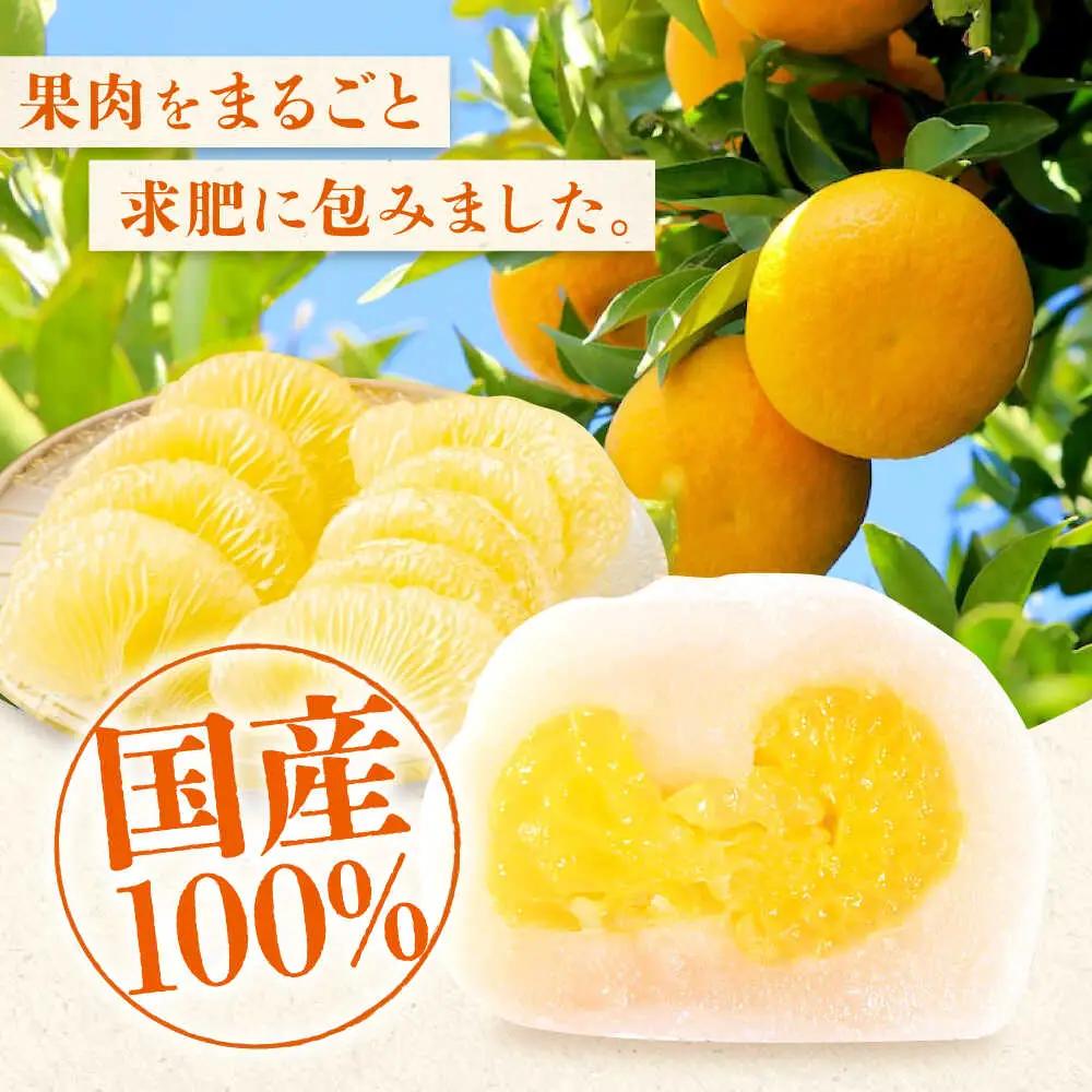 【3回定期便】はっさく大福20個入×2 [BADH034]大福