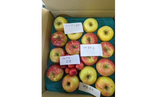 甘味・酸味・歯ごたえの三拍子が揃った人気品種