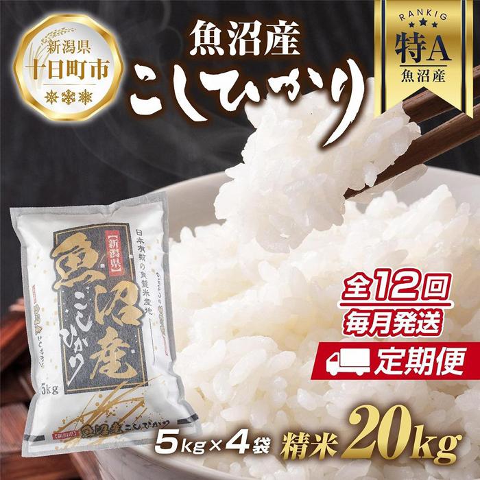 【ふるさと納税】【定期便】新潟県 魚沼産 コシヒカリ お米 20kg×計12回 精米済み 年間 毎月発送 こしひかり（お米の美味しい炊き方ガイド付き） ご飯 ブランド米 銘柄米