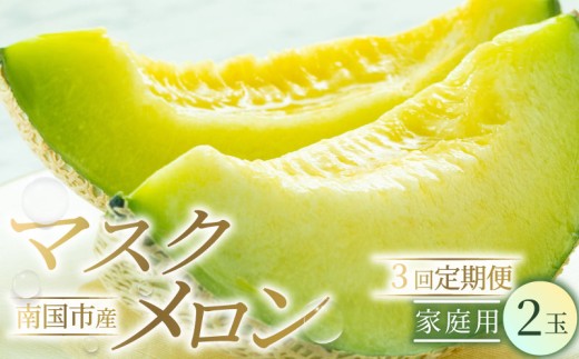 【3回定期便】家庭用 メロン 2玉 | 定期便 マスクメロン 2個 フルーツ 果物 厳選 高級 青肉メロン 人気 デザート ギフト プレゼント 贈り物 くだもの 旬 お取り寄せ 訳アリメロン 甘い 青肉 めろん 高糖度メロン 先行予約 訳あり 産地直送メロン 訳ありメロン 西島園芸団地 高知県 南国市 NE1300