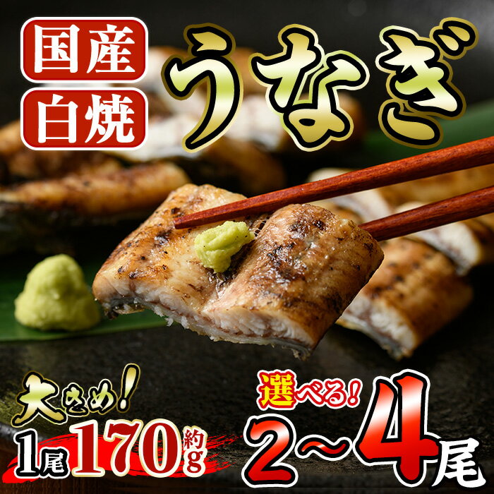 【ふるさと納税】＜内容量が選べる！＞うなぎ 白焼き (計2～4尾・1尾あたり約170g)　国産 鰻 ウナギ 小分け 真空包装【AW-19・AW-20】【丸正水産】